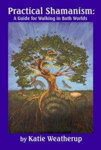 Cover art for Practical Shamanism- image with tree