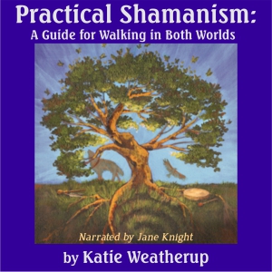 Practical Shamanism: A Guide for Walking in Both Worlds