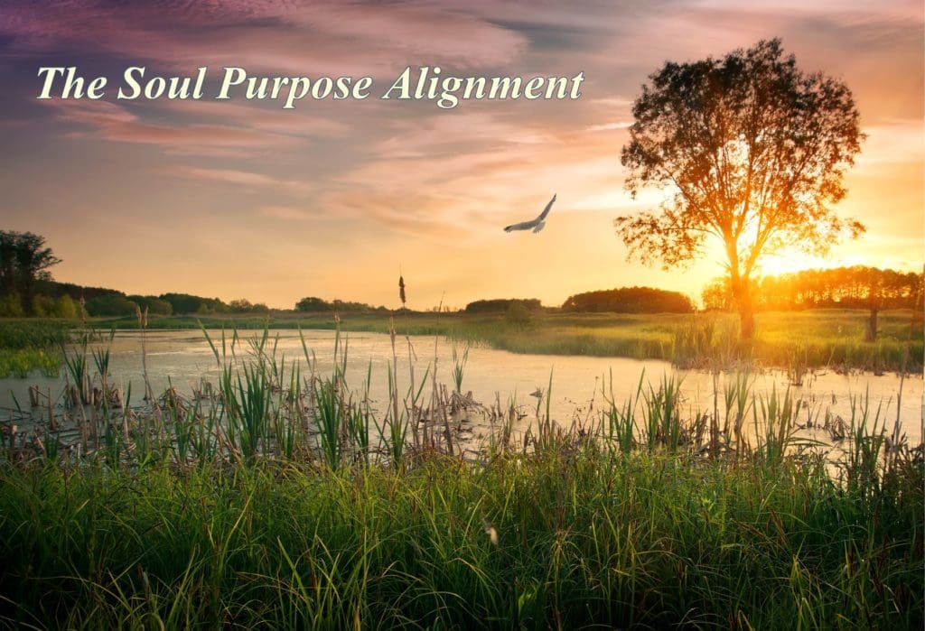 Marsh at sunset with flying bird.  Text "The Soul Purpose Alignment" over image.