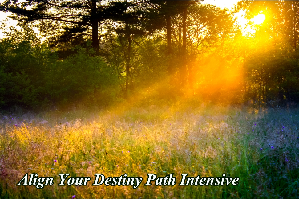 Beam of sunlight shows through forest onto field of flowers with text "Align Your Destiny Path Intensive"